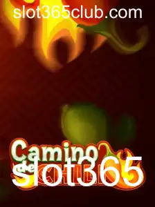 CaminodeChili: A Excitante Jornada no Mundo das Slots com Slot365